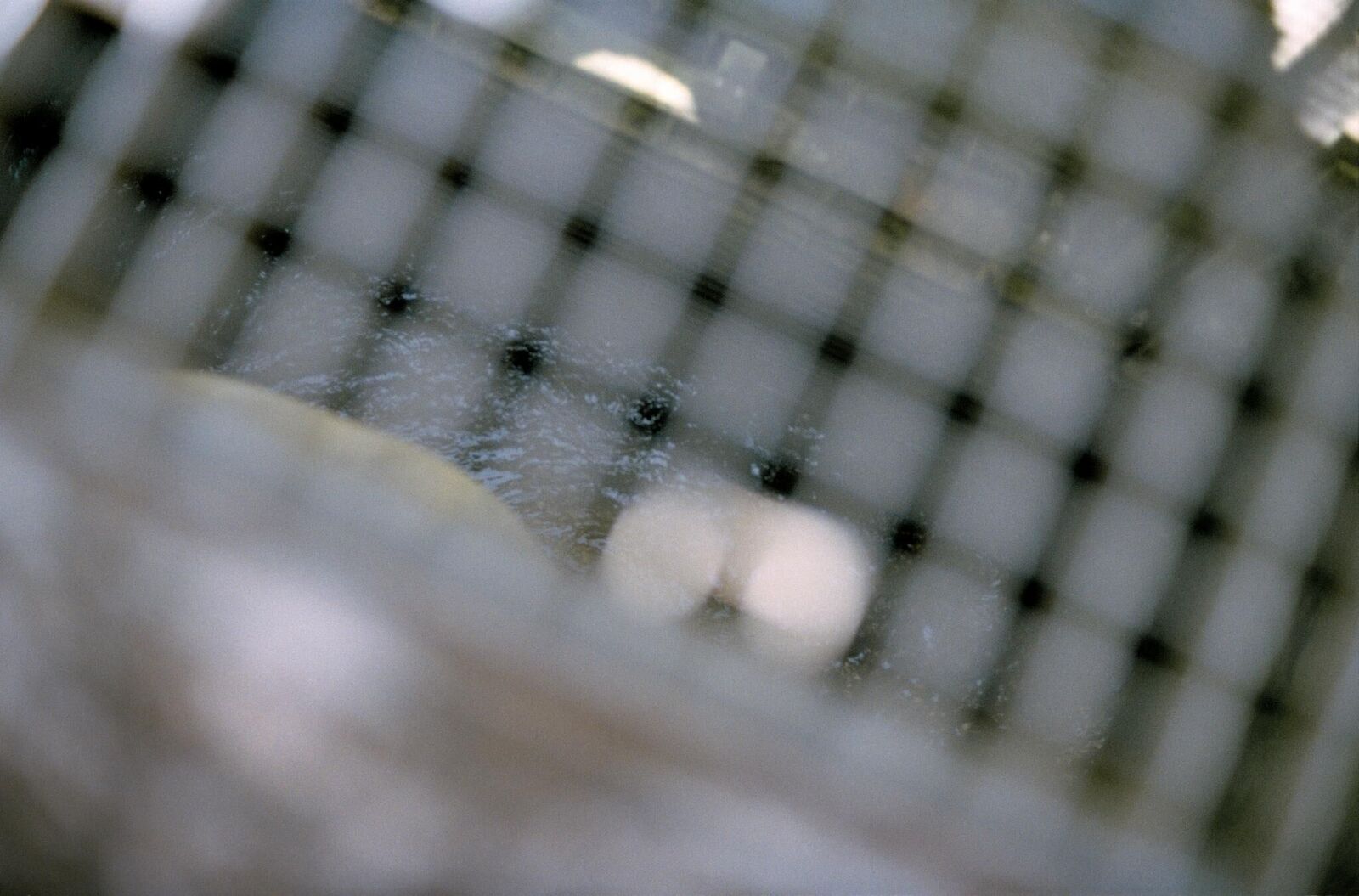 Gallery image of the project It Is the Water Flowing that Makes the Sound