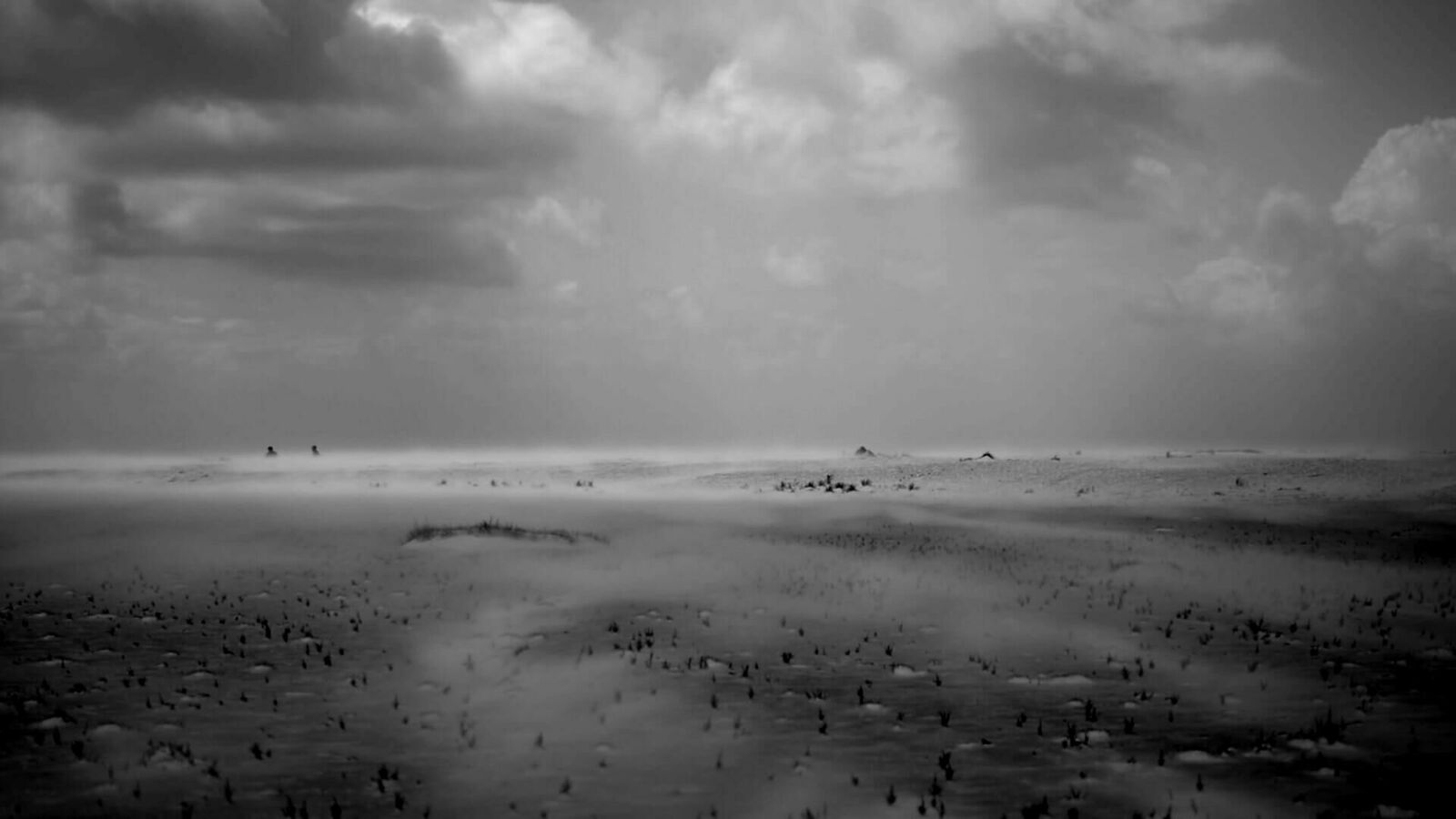 Gallery image of the project Laniakea