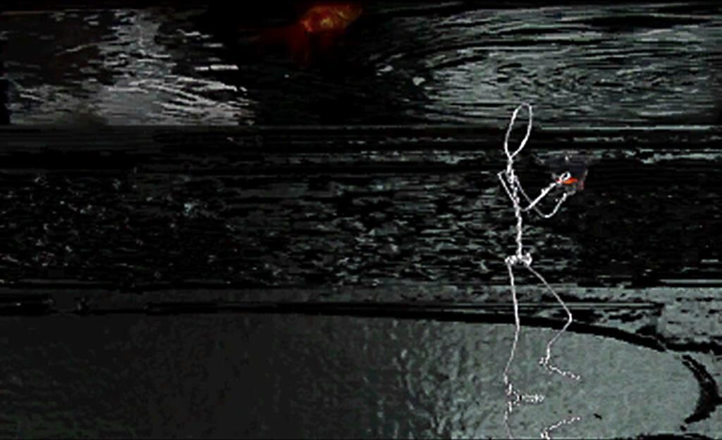Cover image of the project Circulus
