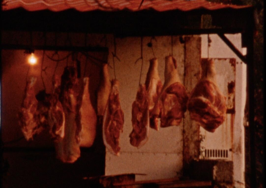 Gallery image of the project Island Story