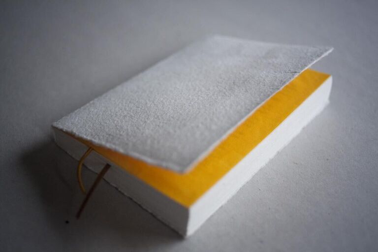 Cover image of the project Tagebuch einer Seife