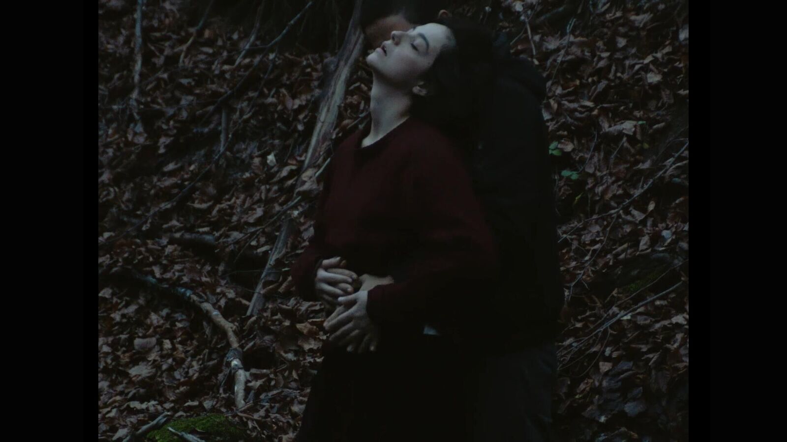 Gallery image of the project On the other side of the pillow a rose was blossoming