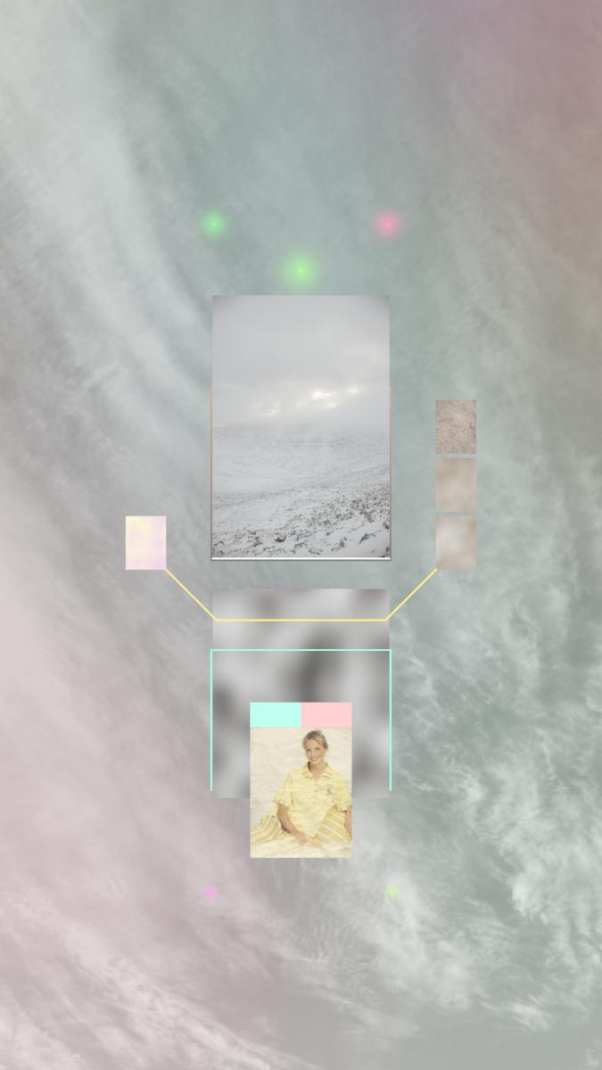 Gallery image of the project Polarflux