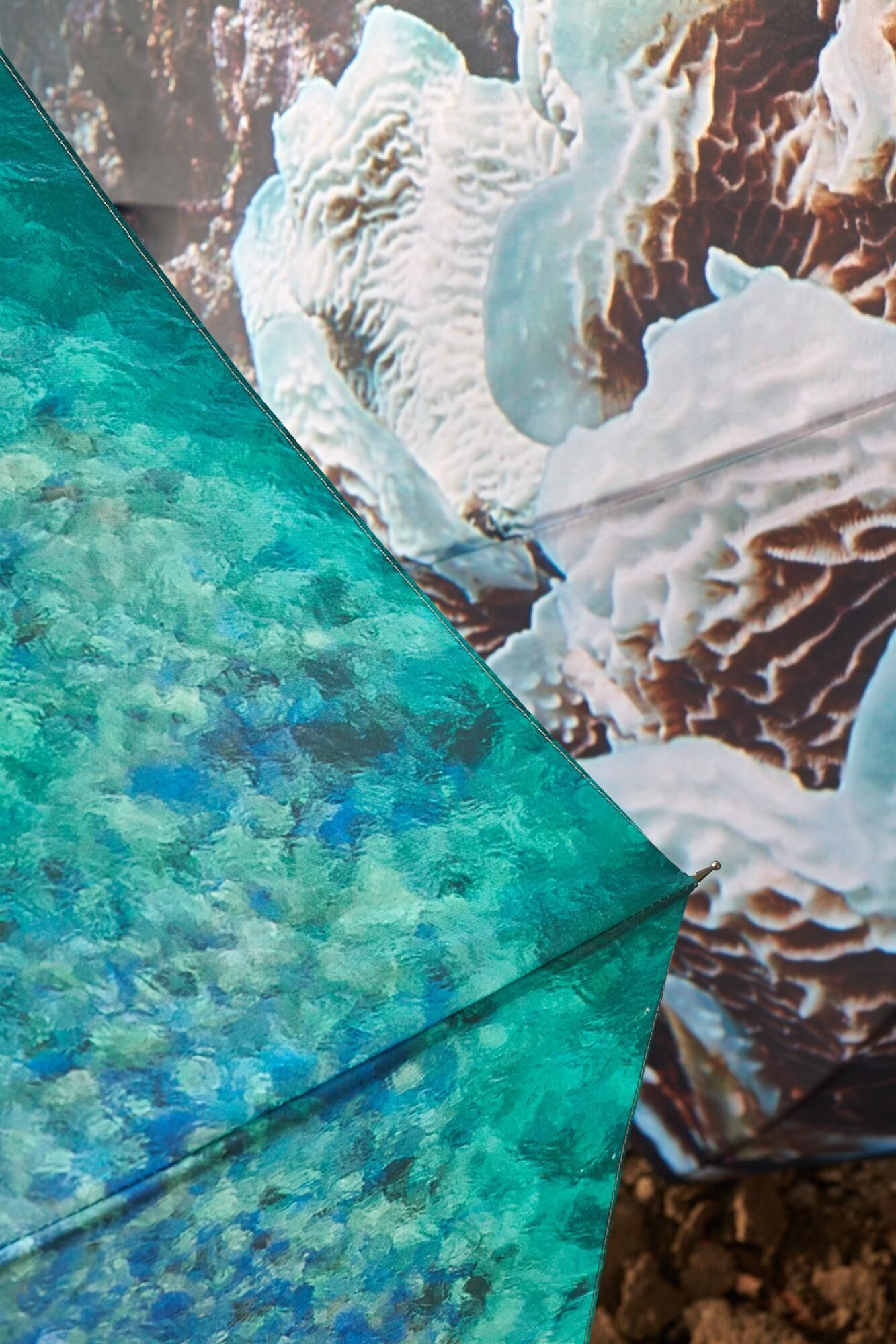 Gallery image of the project HOT