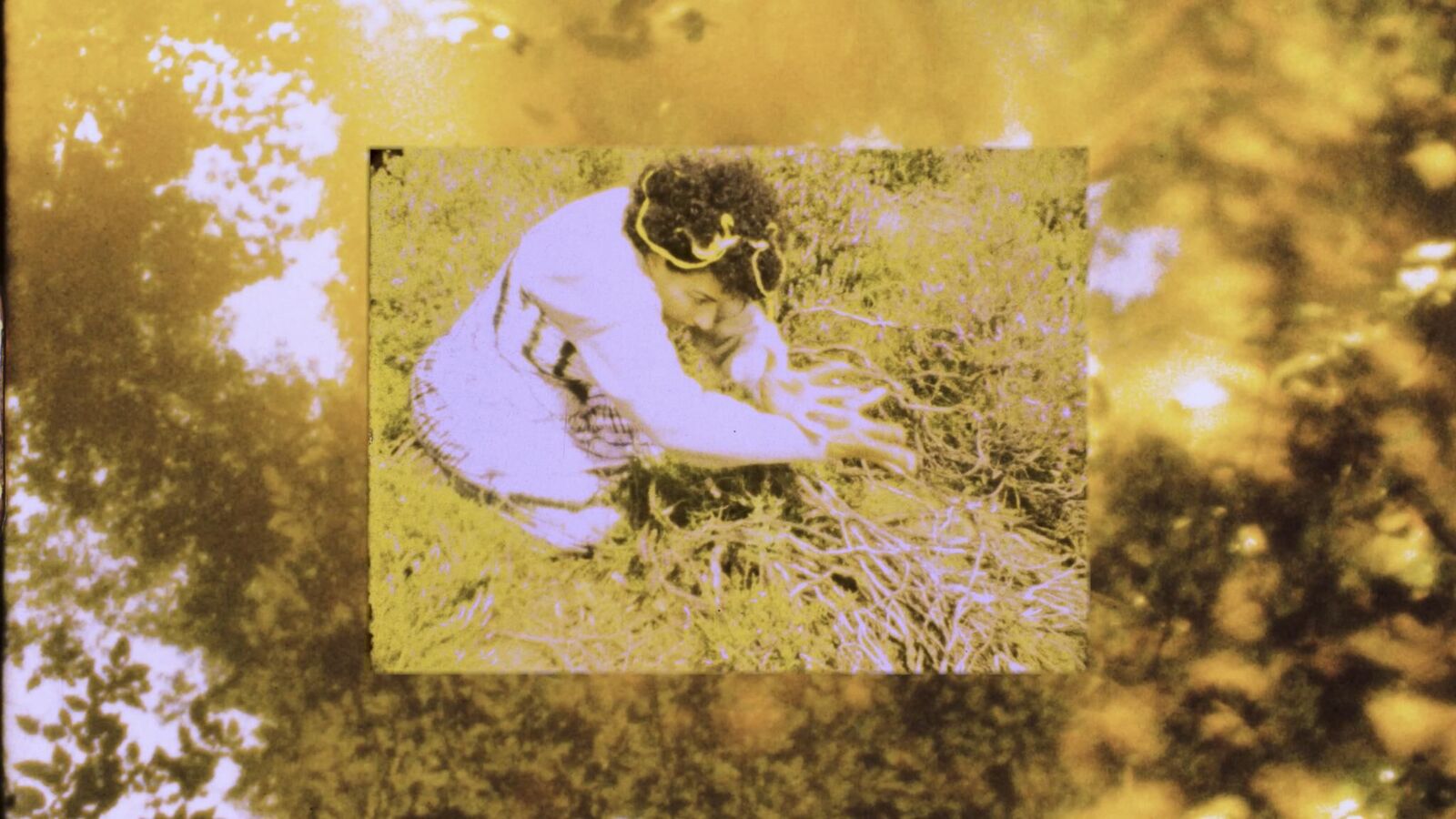 Gallery image of the project To Revere