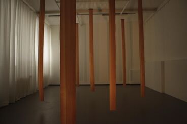 FOREST SCAPES I: KEREITA FOREST BLOCK