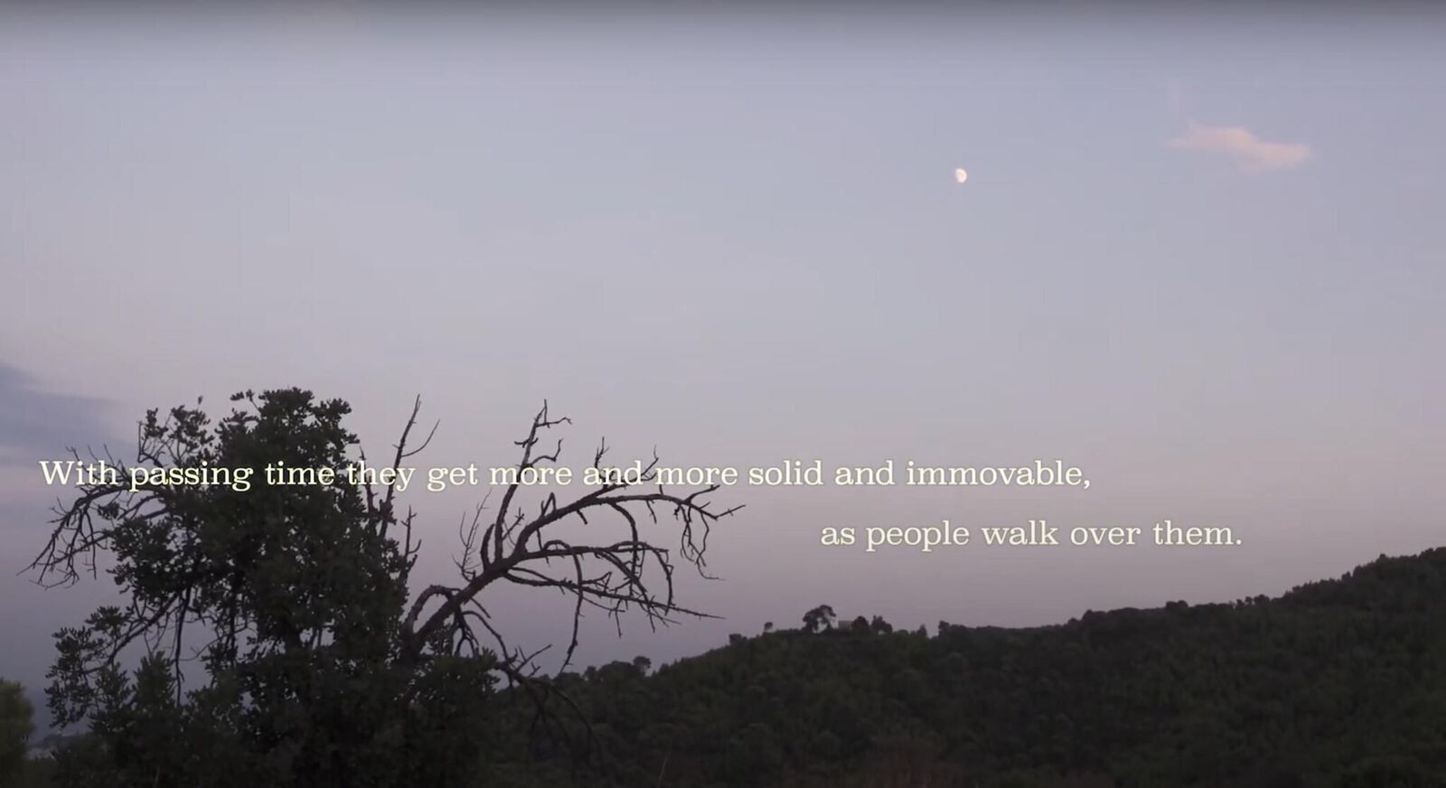 Gallery image of the project The haunted villa of Spetses