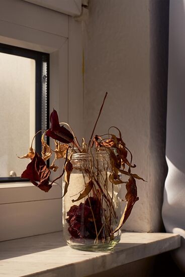Innenleben Gallery image of the project Innenleben