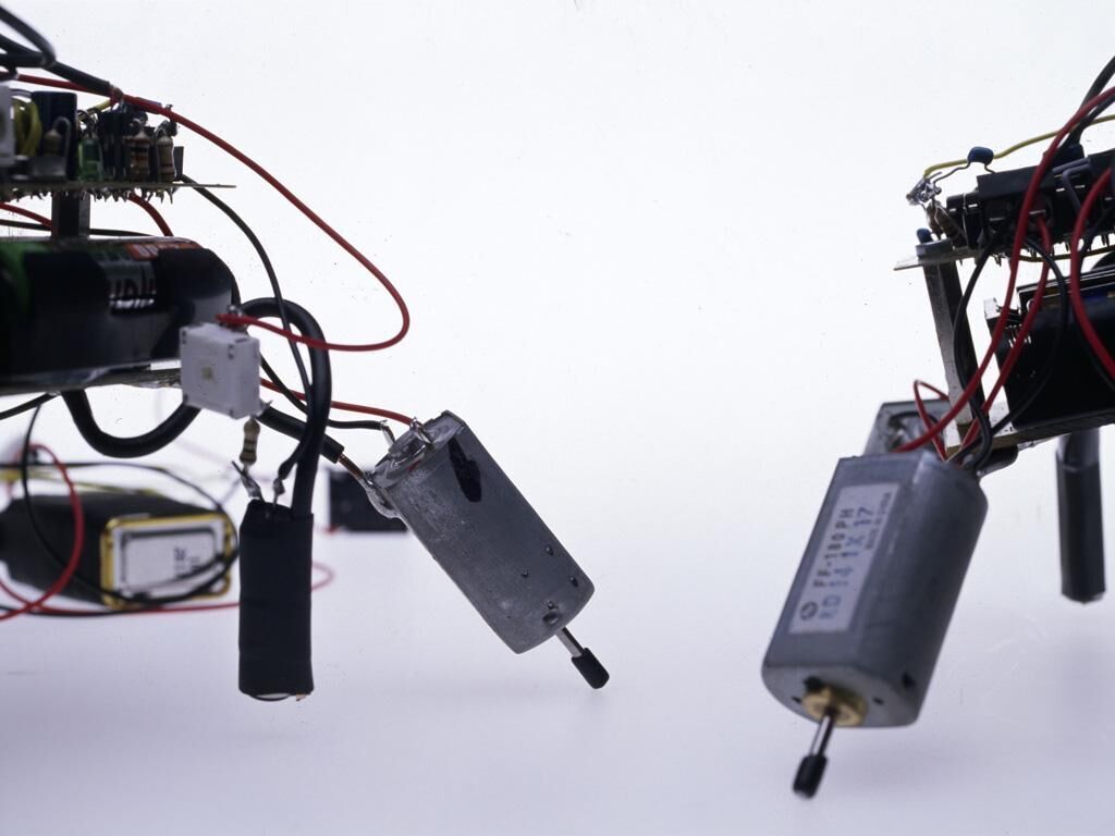Gallery image of the project Photofeedback