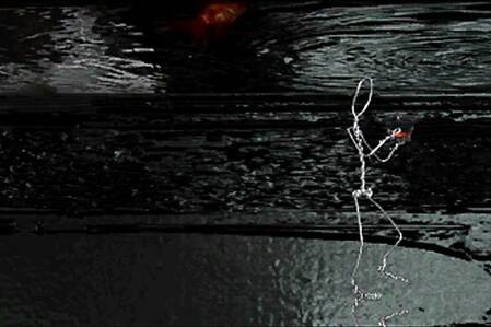 © Tina Hage