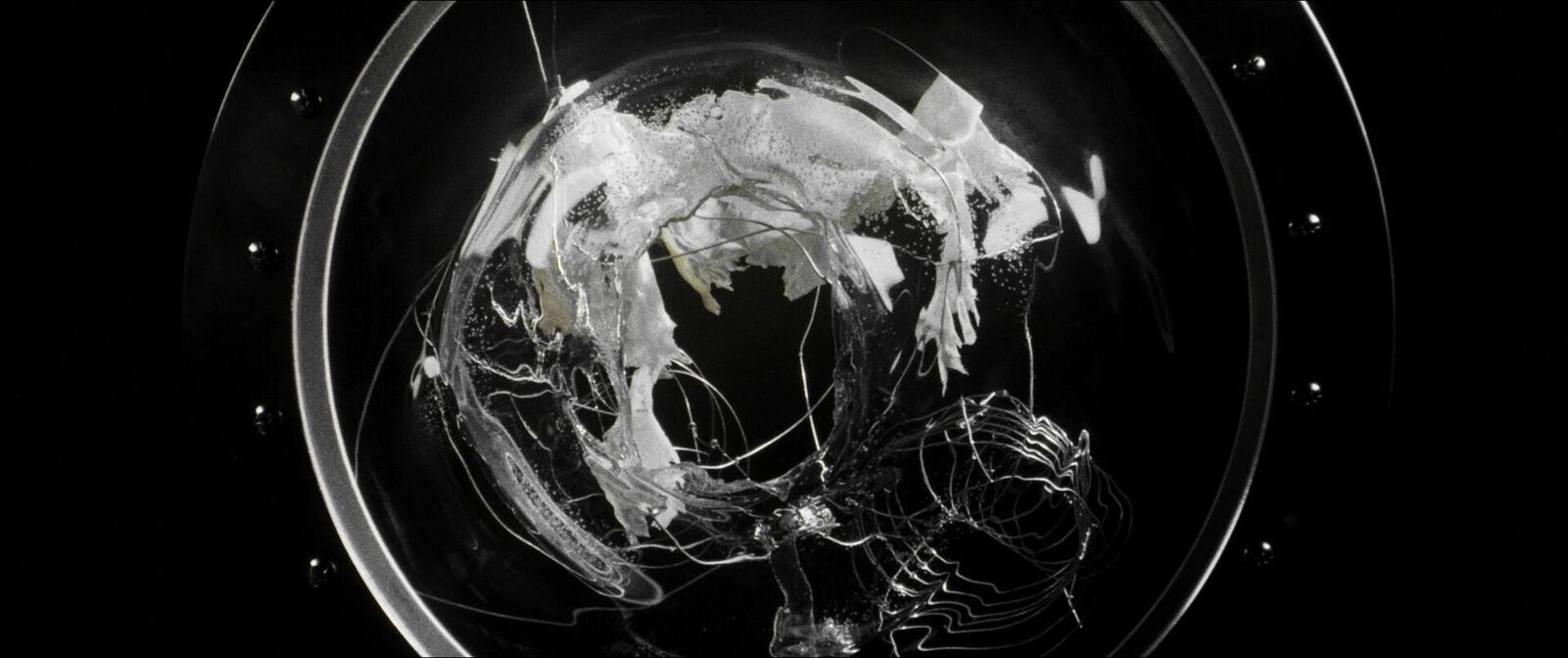 Cover image of the project Territory