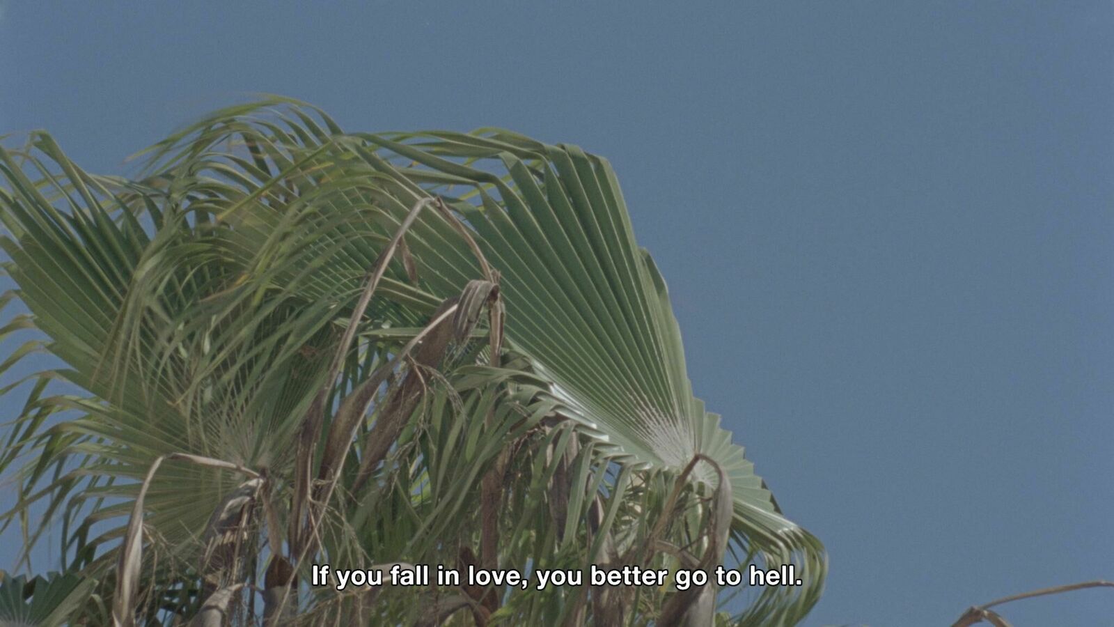 Gallery image of the project Paddled Pandemic Paradise