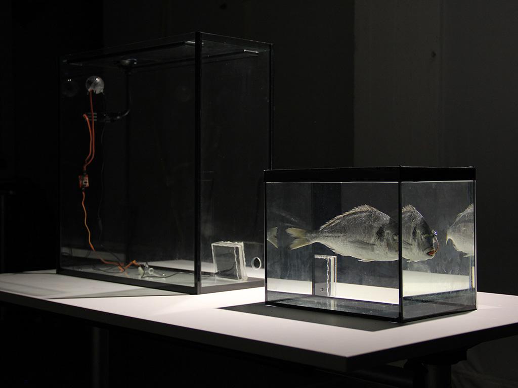 Cover image of the project C