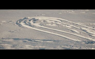 Filmstill aus „Tristan” by Fabian Rieke Gallery image of the project Dokumentarische Miniaturen 2021