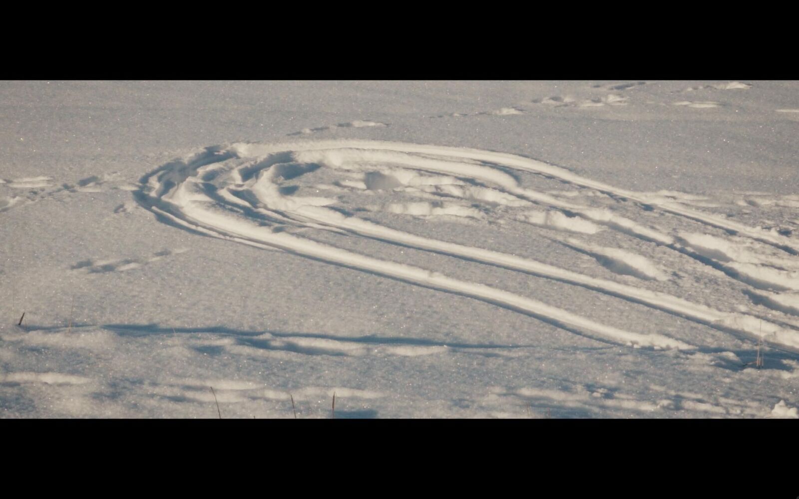 Gallery image of the project Dokumentarische Miniaturen 2021