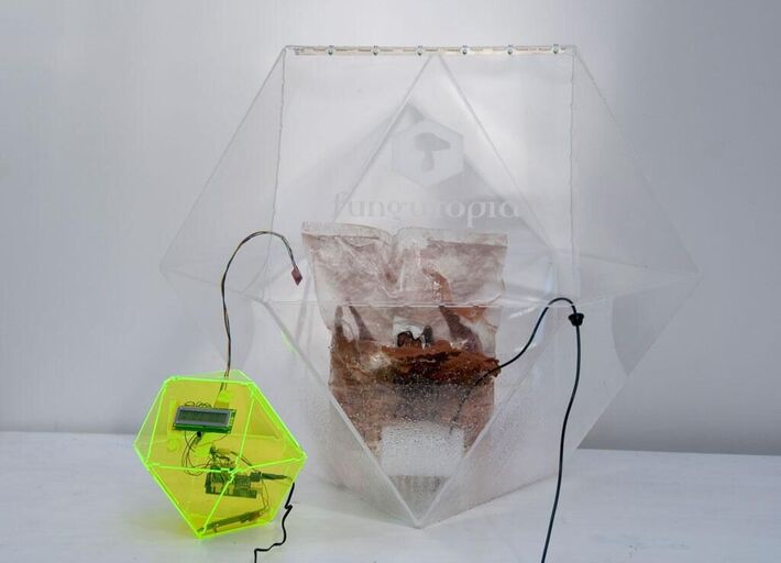 Cover image of the project FUNGUTOPIA