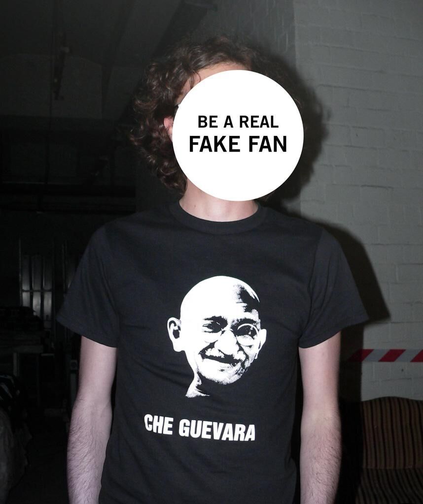 Cover image of the project Fake Fans