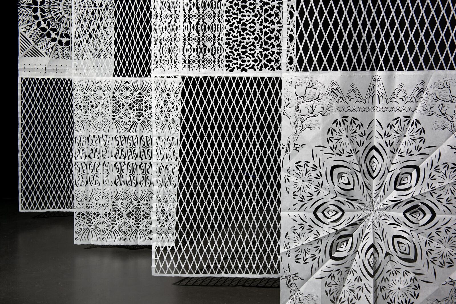 Gallery image of the project An Uncontacted Tribe