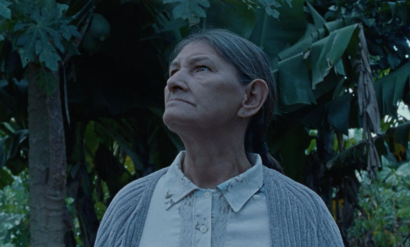 Gallery image of the project Our Own Shadow