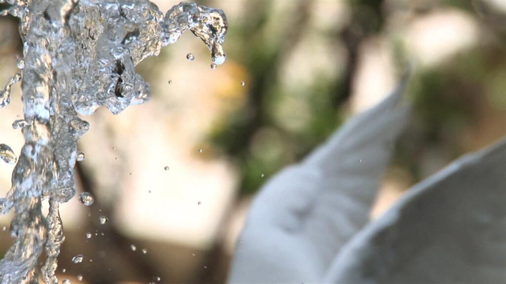 Gallery image of the project Palomafuente 