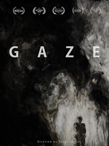Gallery image of the project GAZE