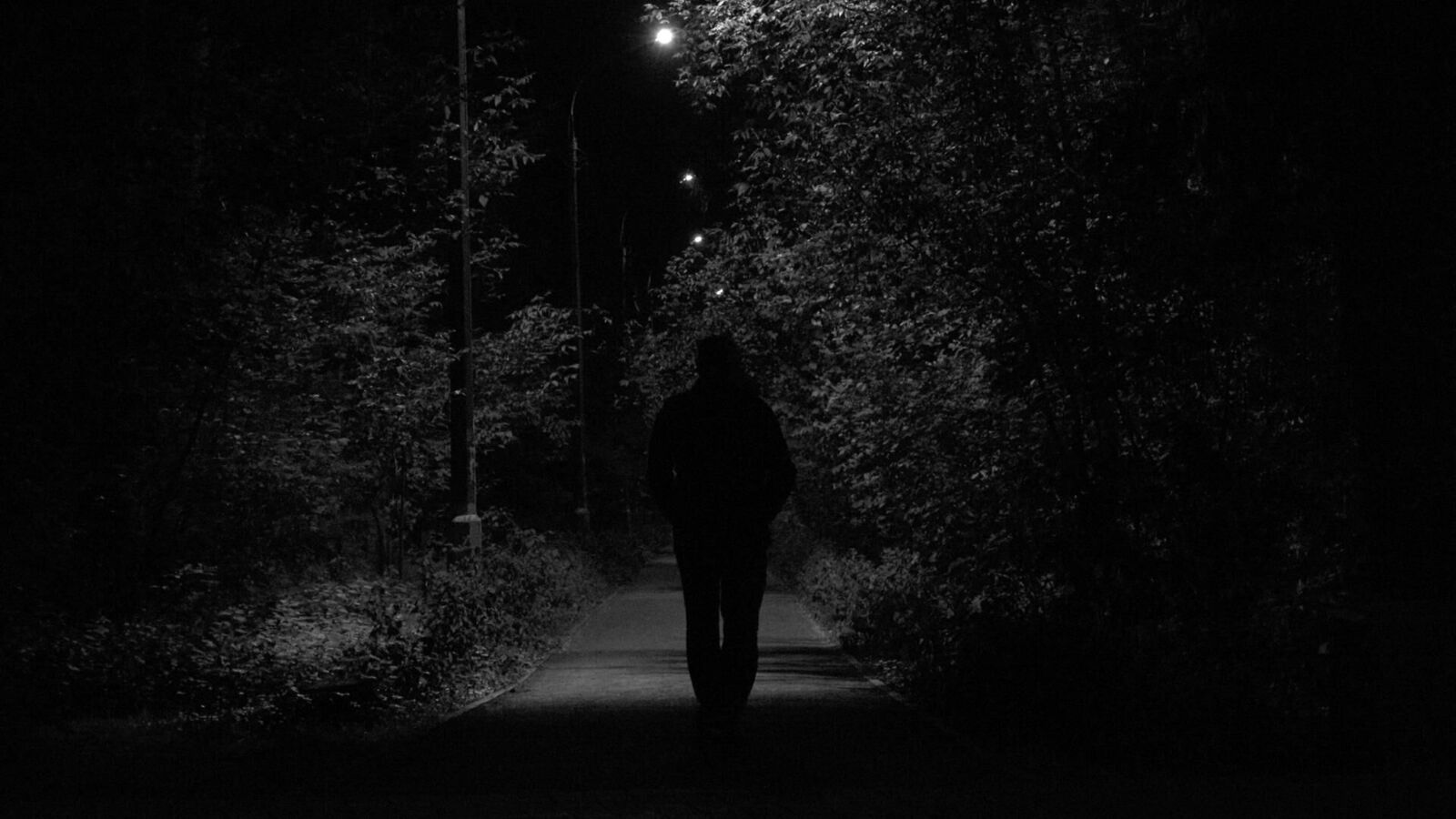 Gallery image of the project Our Feelings of Flight