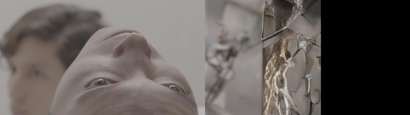 Gallery image of the project Gérard Lucas