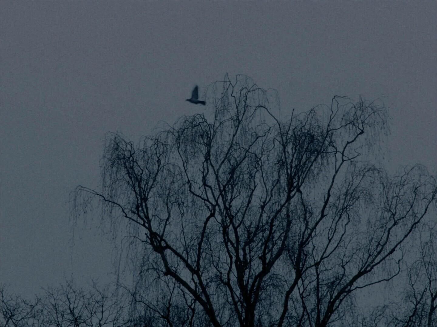 Gallery image of the project Ein bisschen Gemurmel aus dem Wald