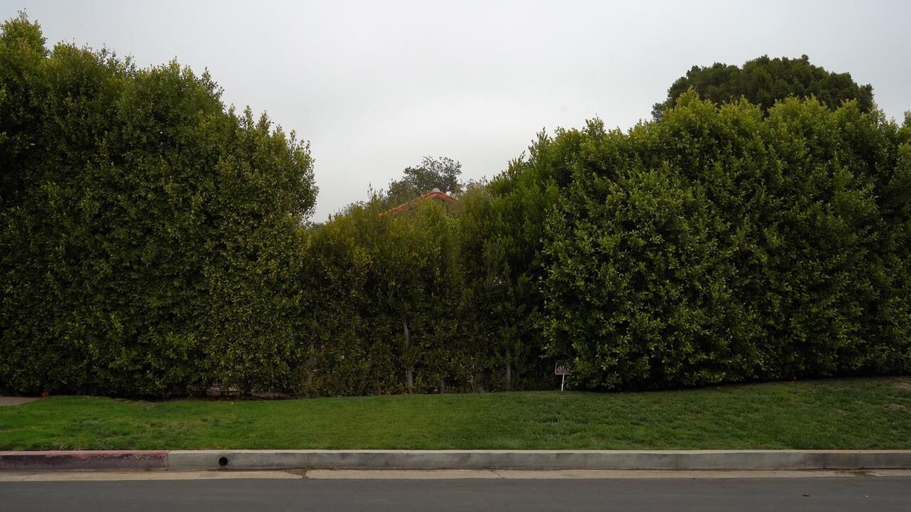 Gallery image of the project The Afterthought of Life