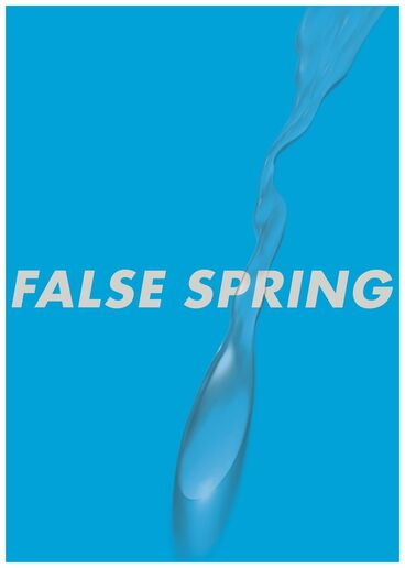 Cover image of the project FALSE SPRING