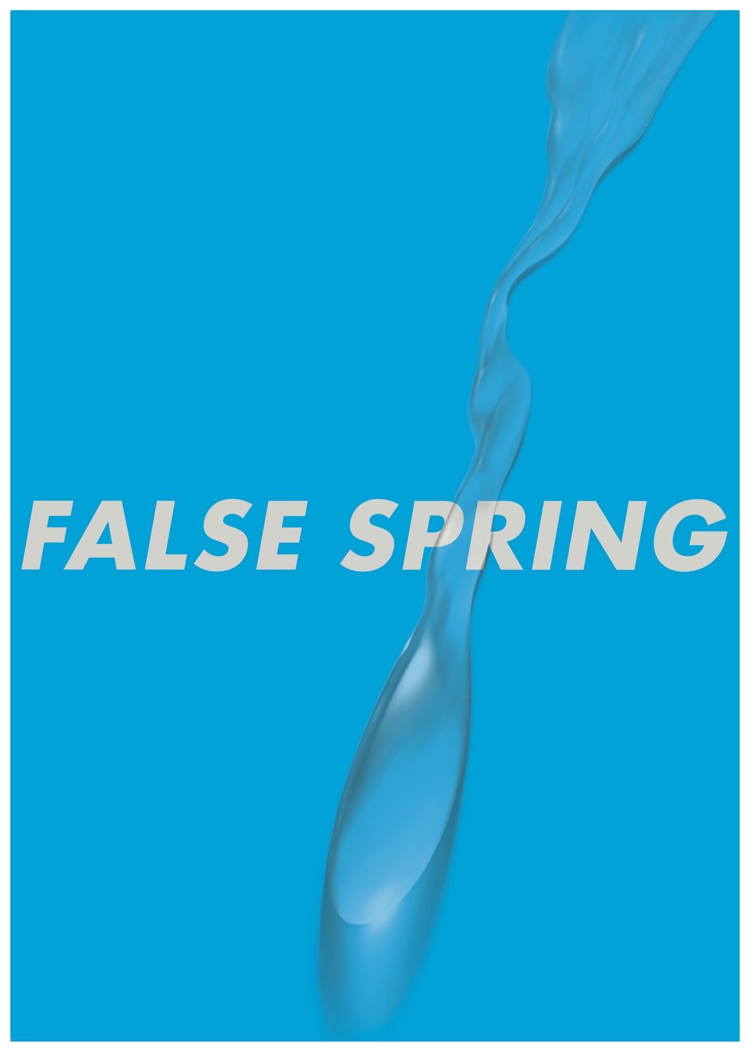 Cover image of the project FALSE SPRING