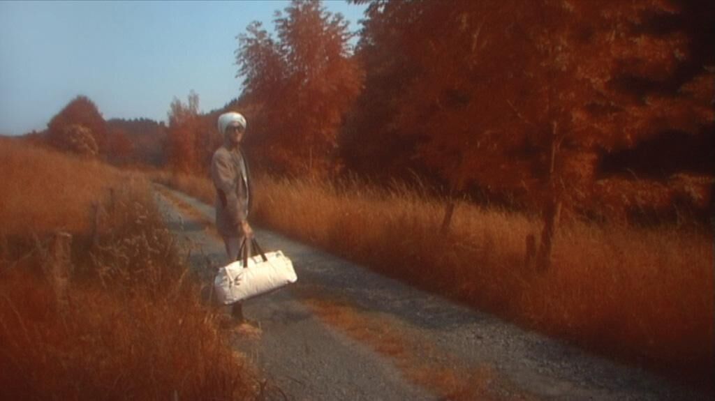 Cover image of the project Wahit 