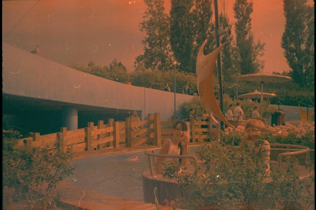 Gallery image of the project Maybe Montreal