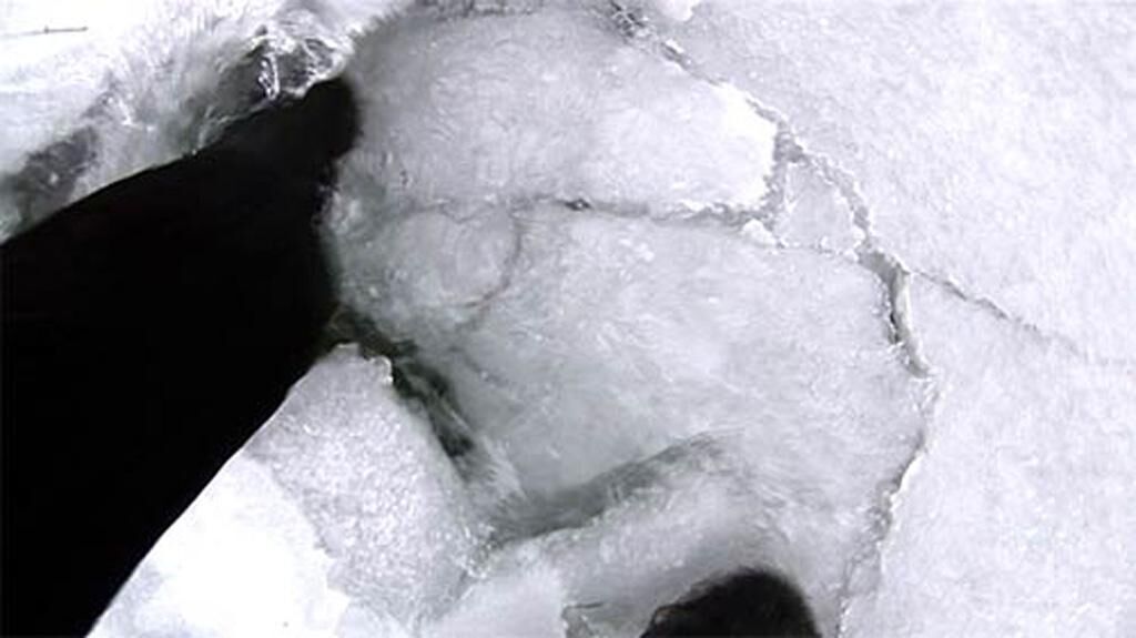 Gallery image of the project The White Tape 