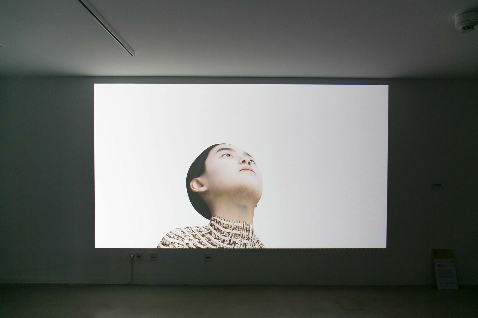 Cover image of the project You bug me and I bug you