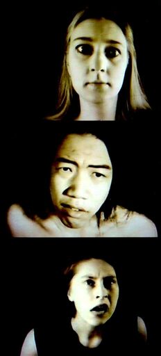 Cover image of the project Still Creatures