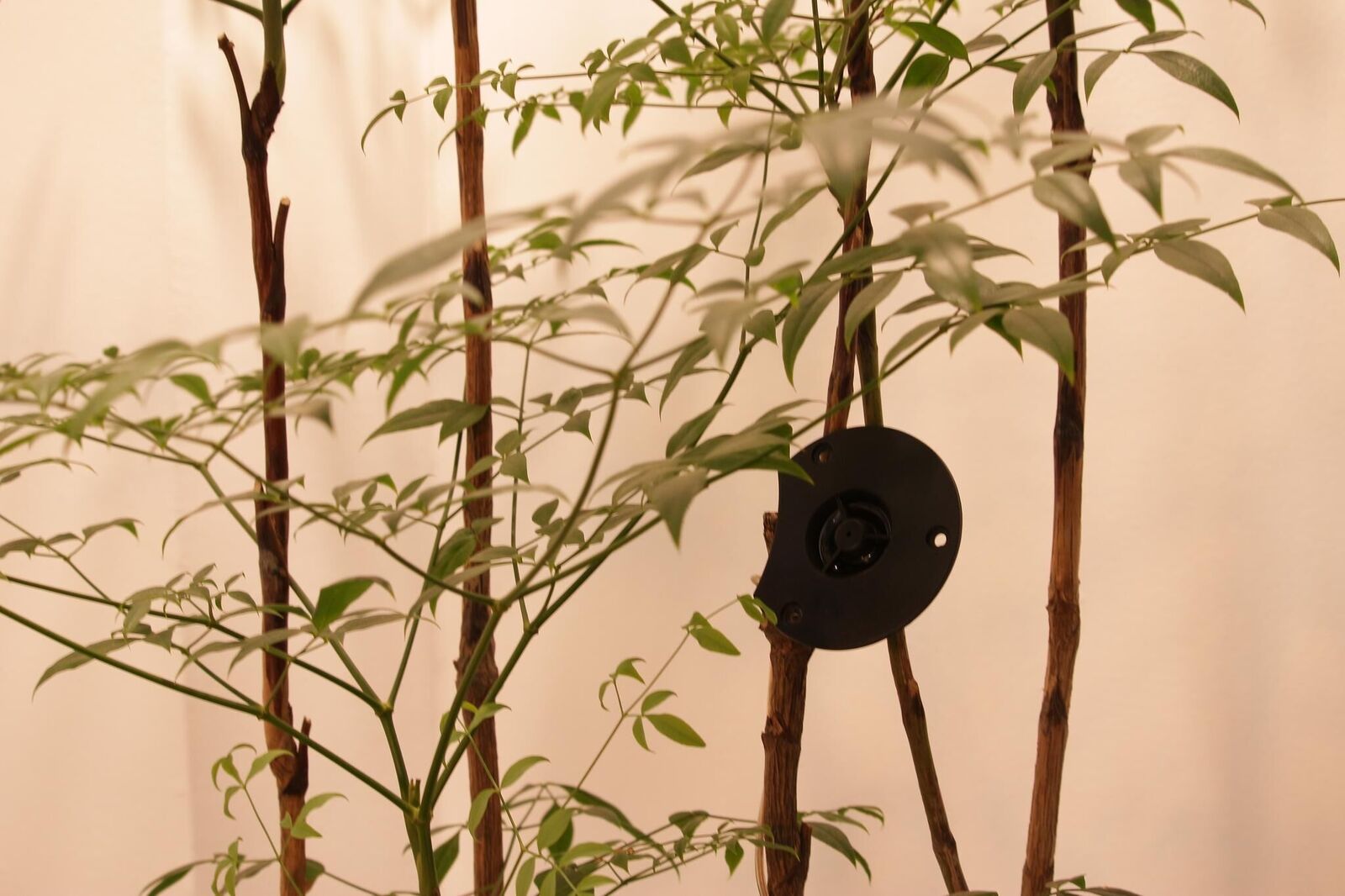 Gallery image of the project Silent Emergency Call 