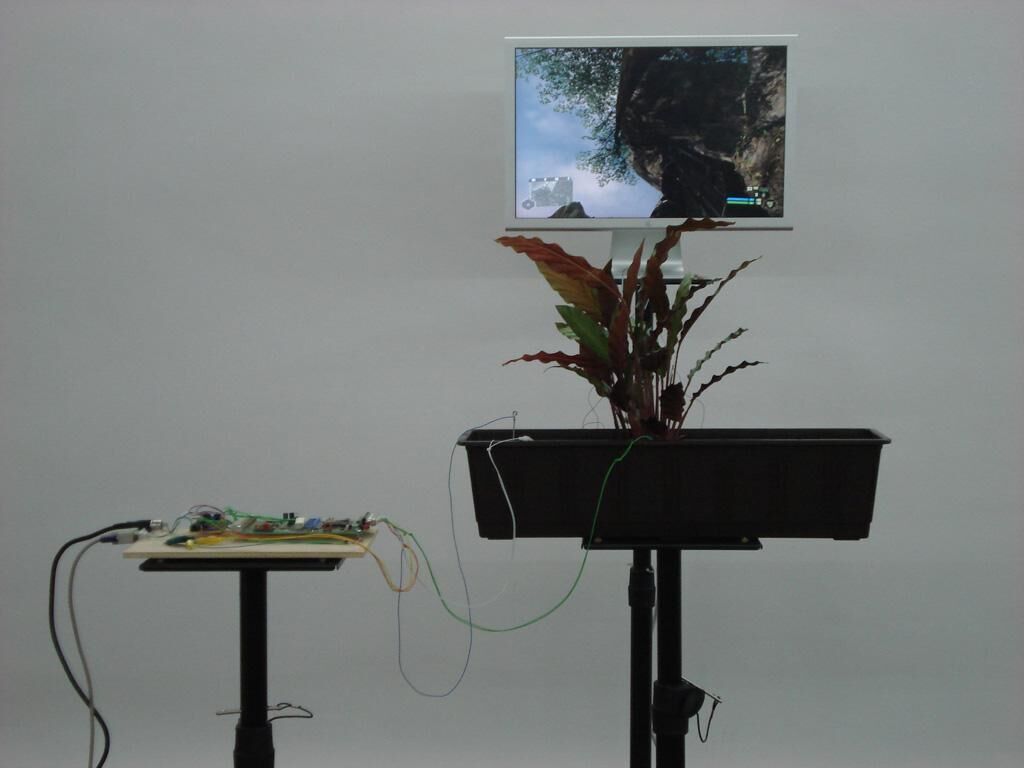 Cover image of the project Sensobotanics