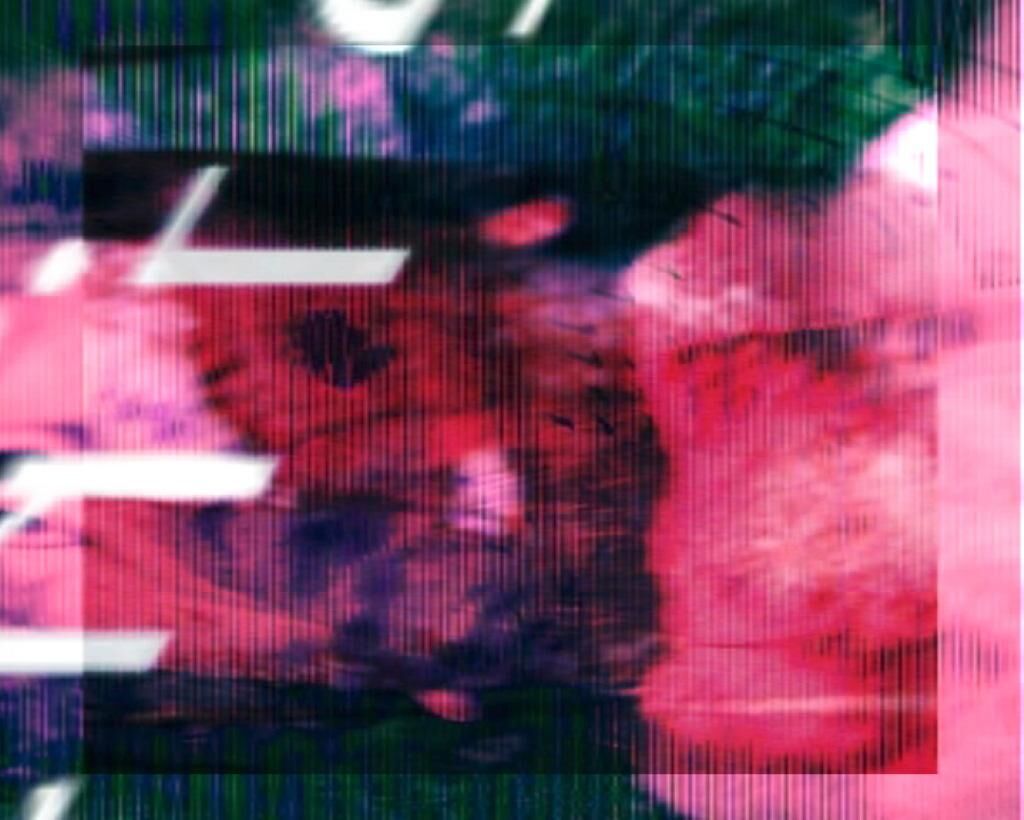 Gallery image of the project a short passage