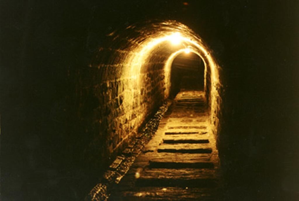 Cover image of the project Die dunklen Lichter