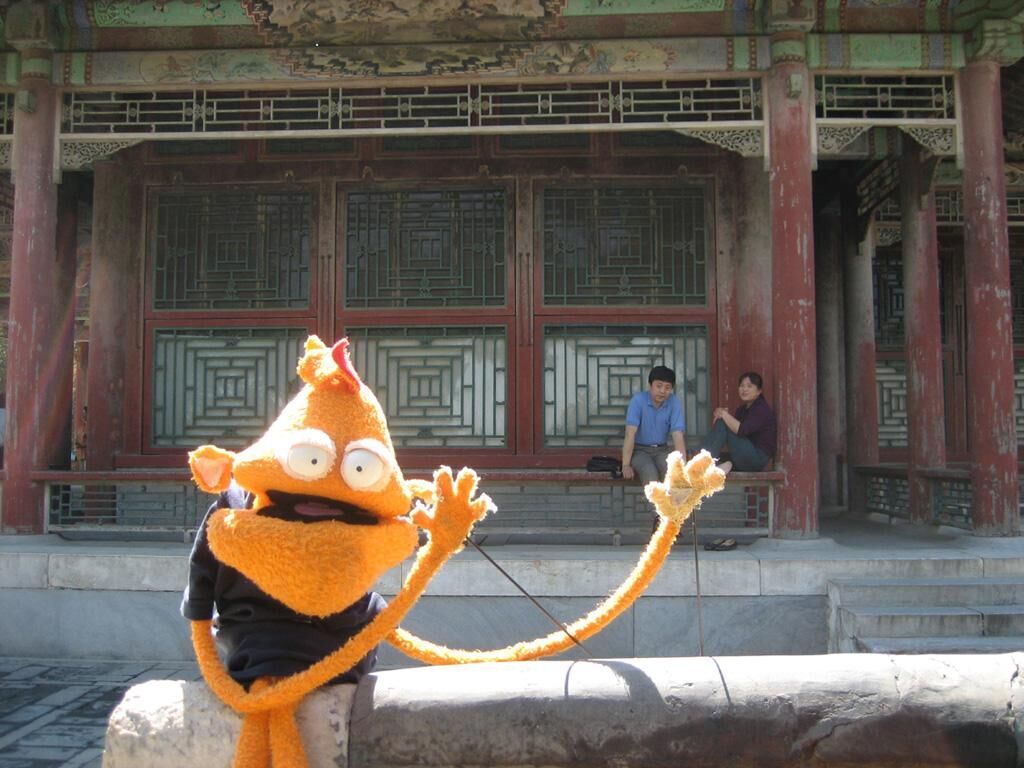 Cover image of the project Dizzy D in Beijing