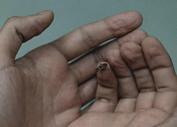 Cover image of the project Residuum