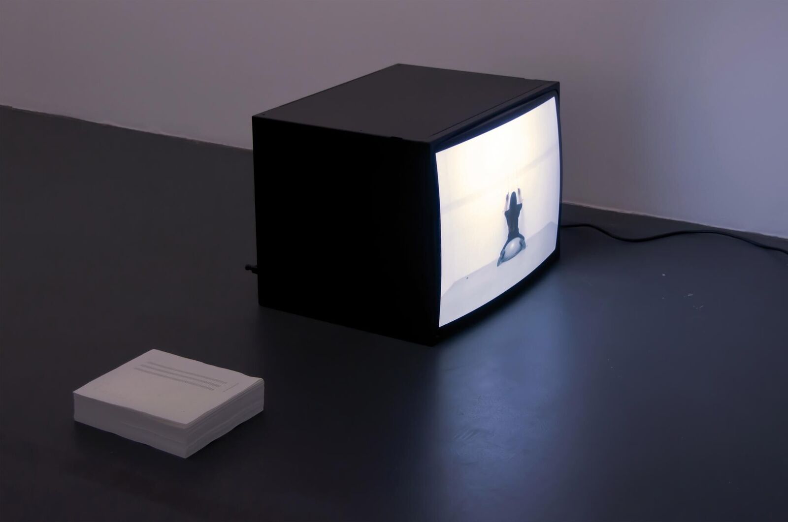 Gallery image of the project And then nothing turned itself inside-out