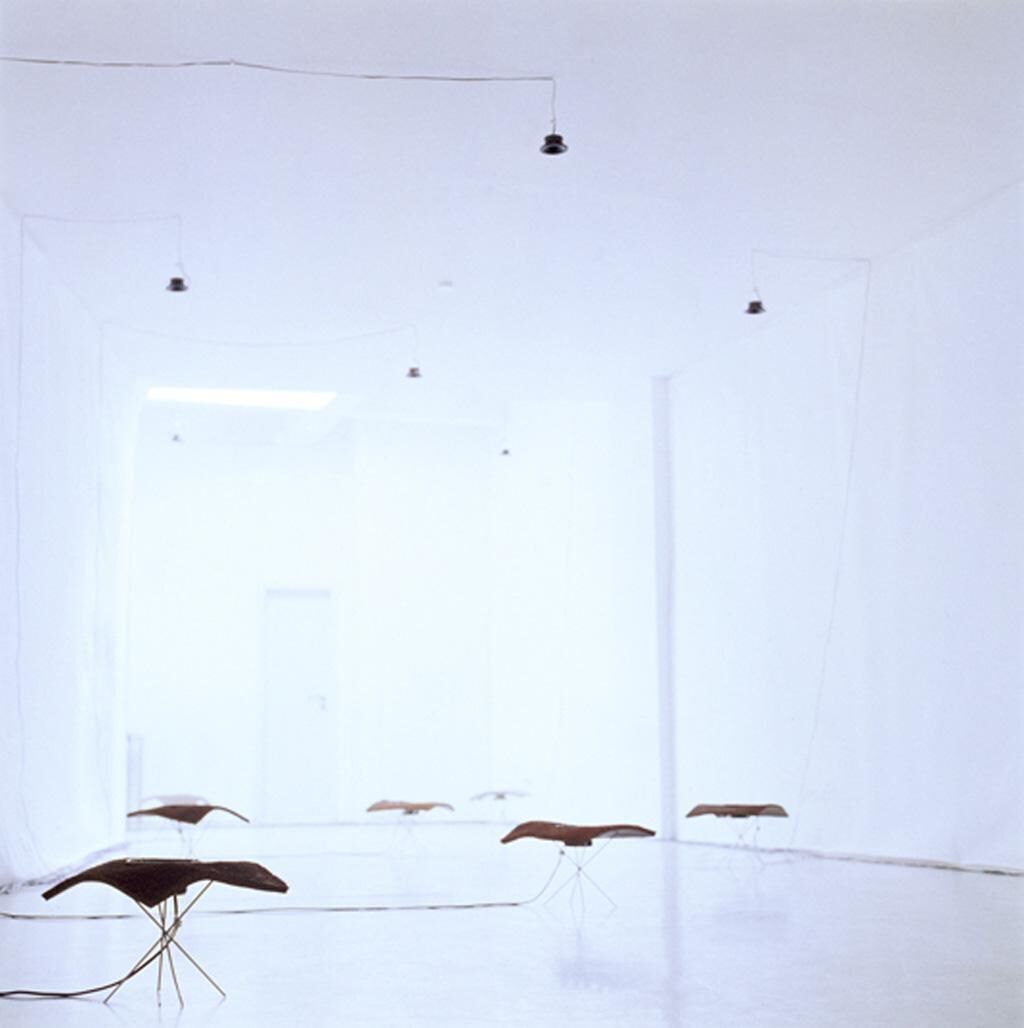 Cover image of the project Klangwiese mit Oberbeleuchtung