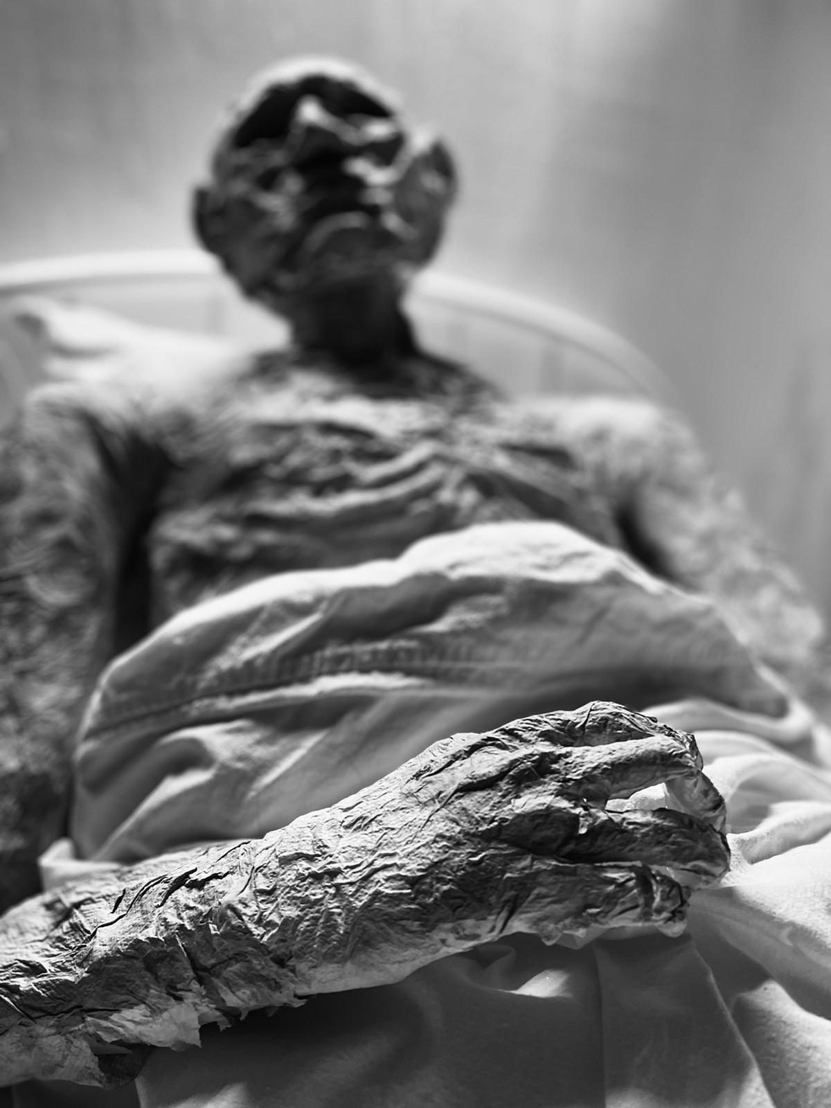 Gallery image of the project ECHO