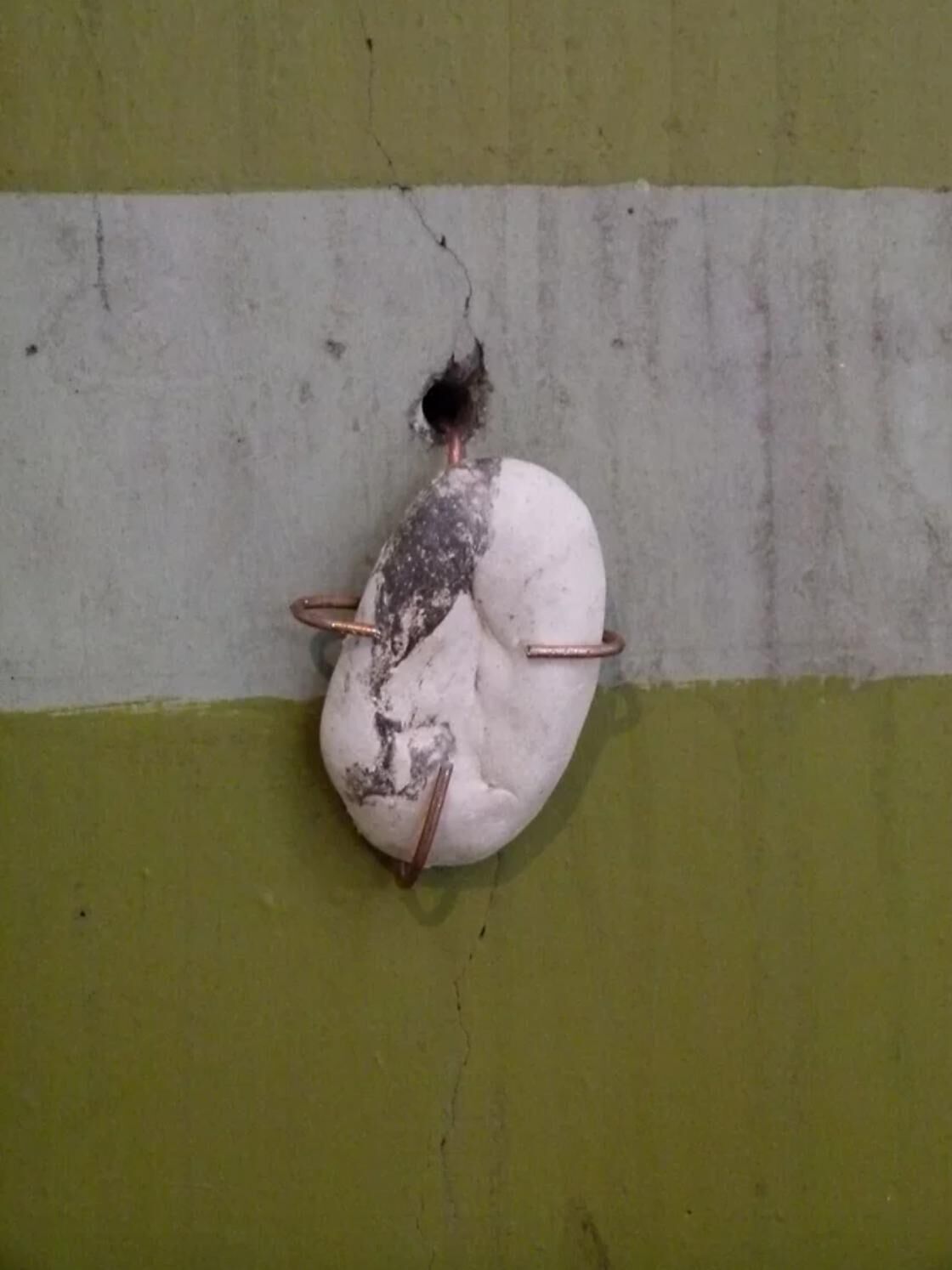 Gallery image of the project The haunted villa of Spetses