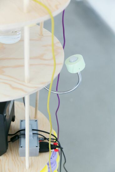Gallery image of the project You bug me and I bug you