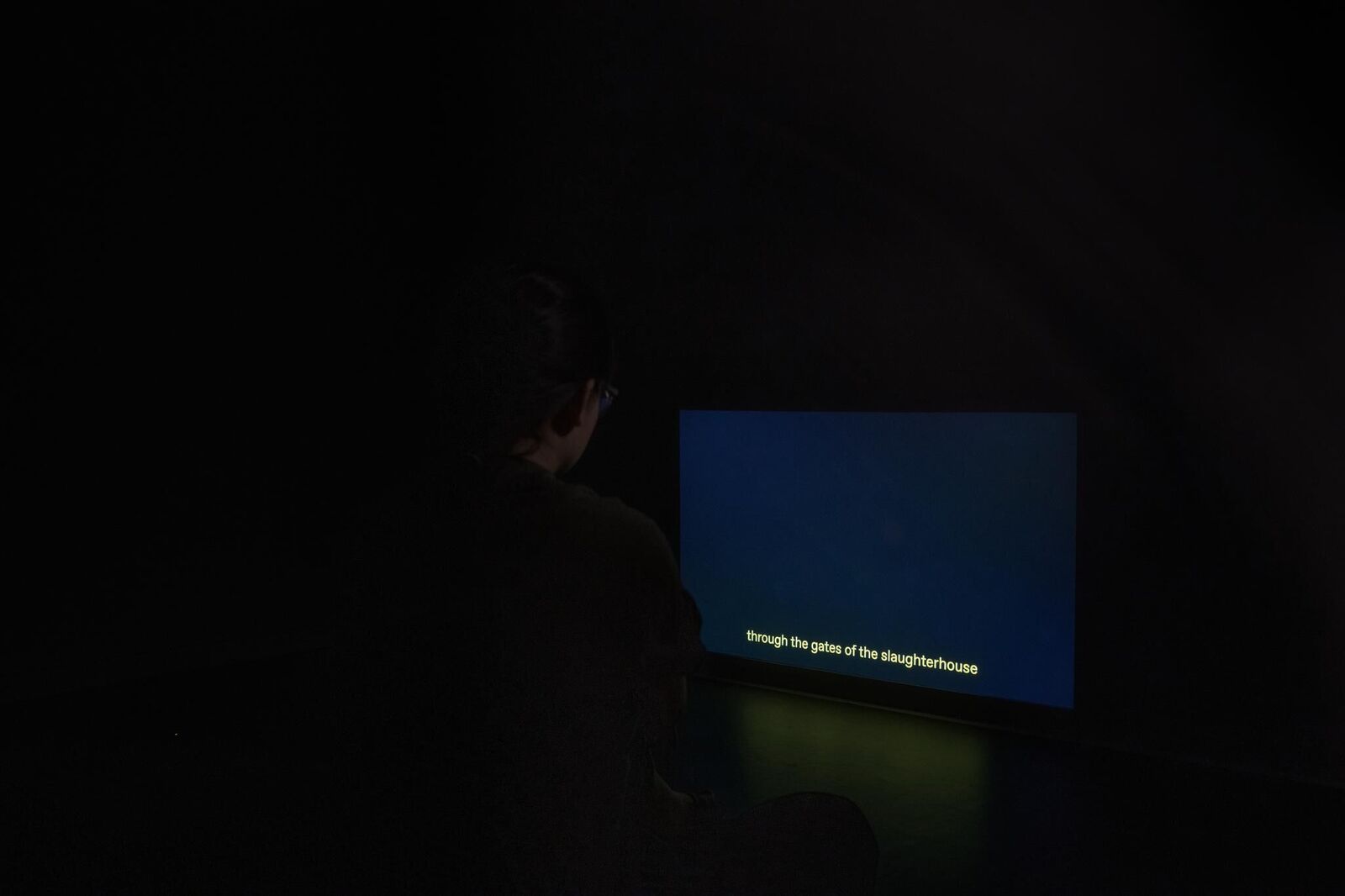 Gallery image of the project Live Stock / Live Animals