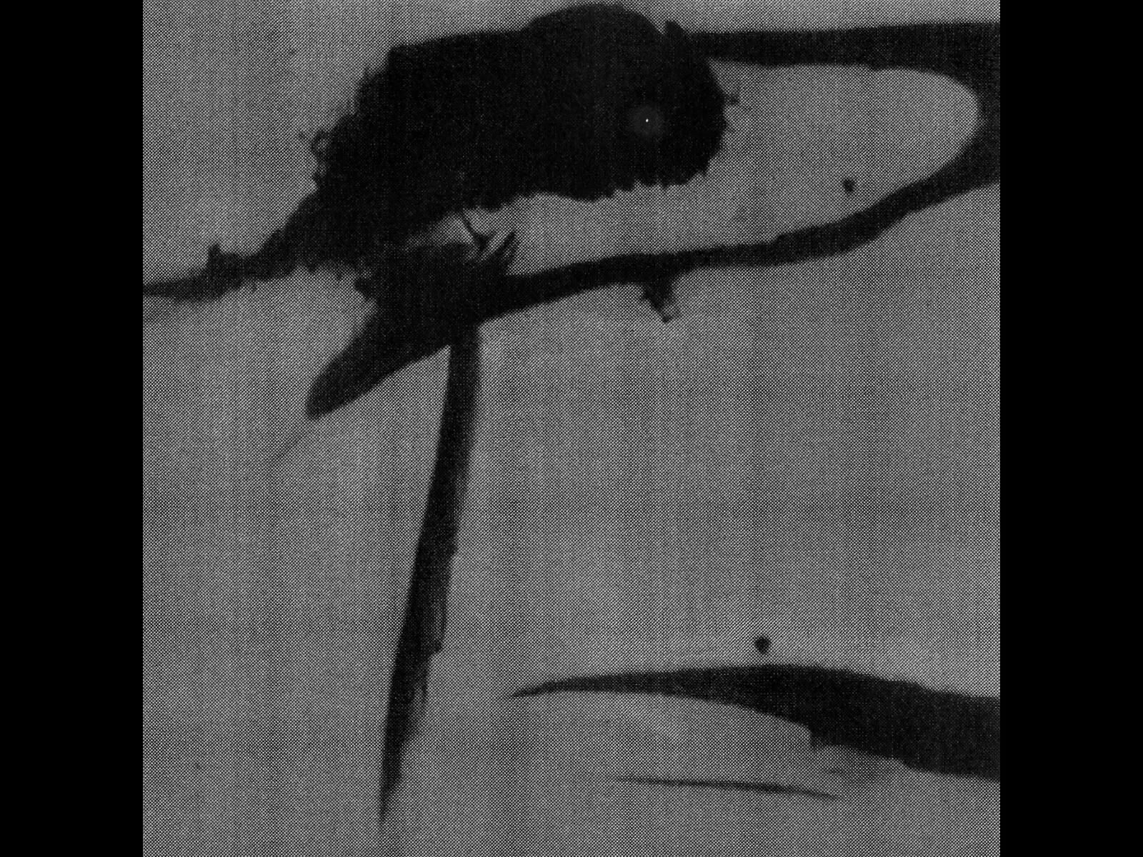 Gallery image of the project The Stolen Moon