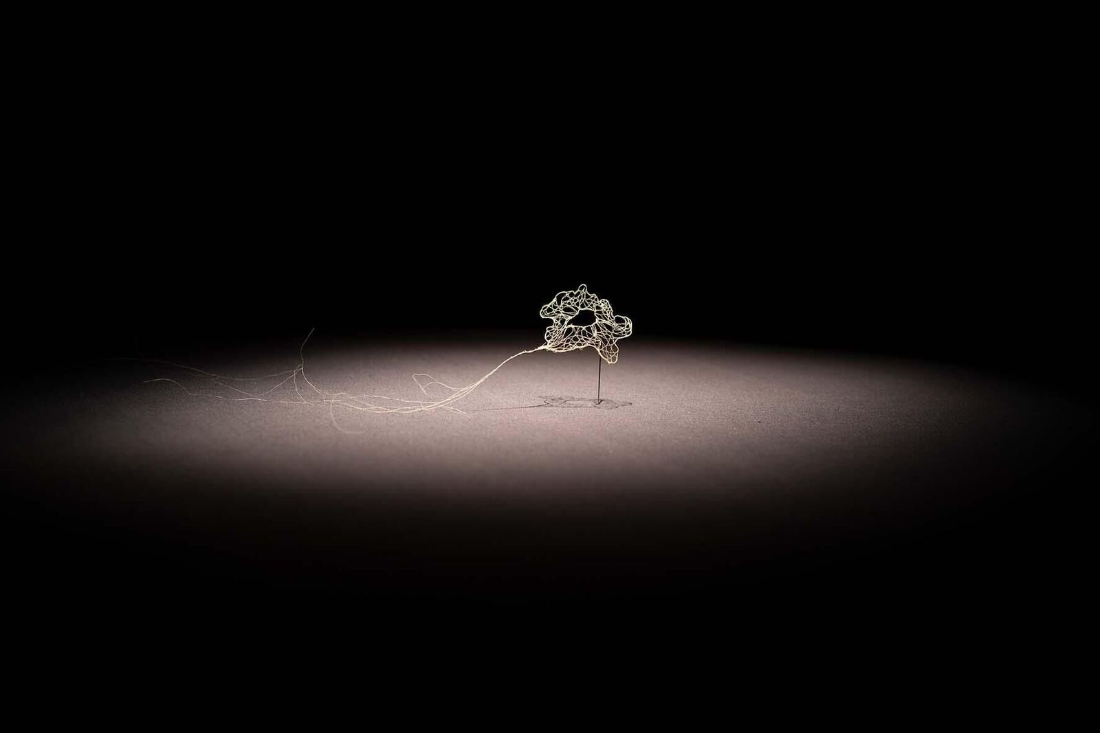 Gallery image of the project «Dann kommen ja die grünen Vögel nicht mehr wieder, wenn die Kastanien weg sind»